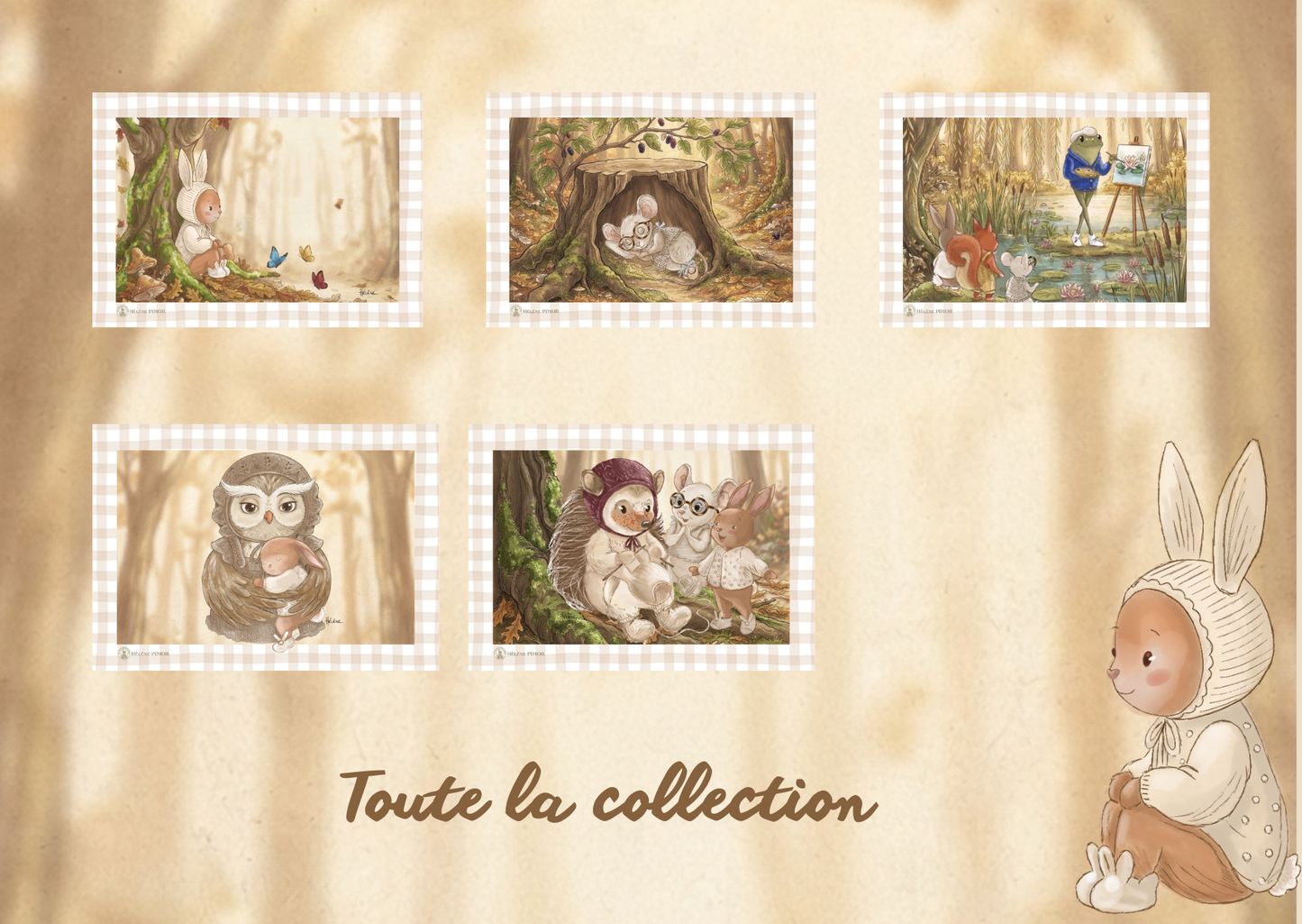 Pack Noisette