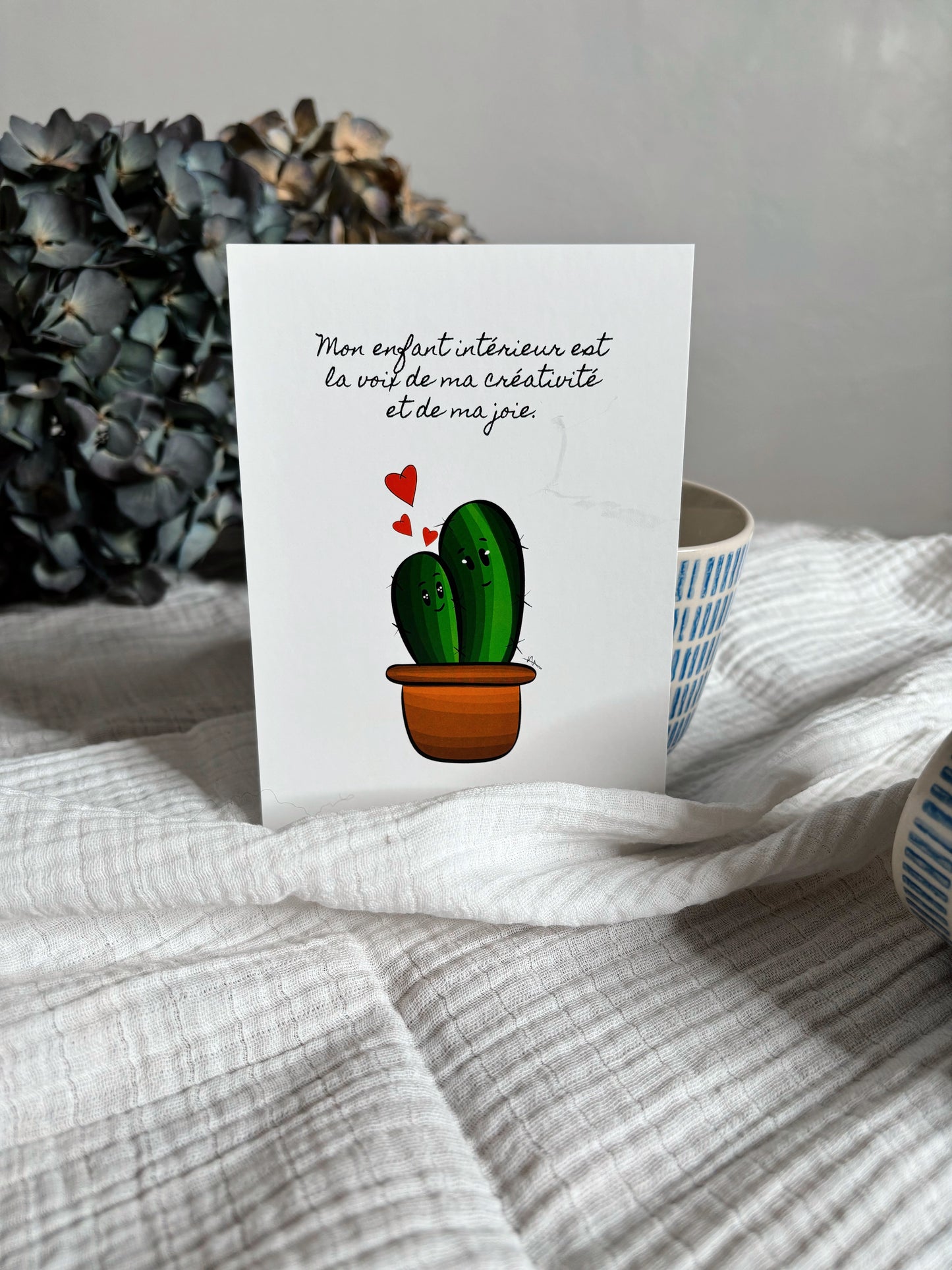 Les cactus - coffret de 7 cartes