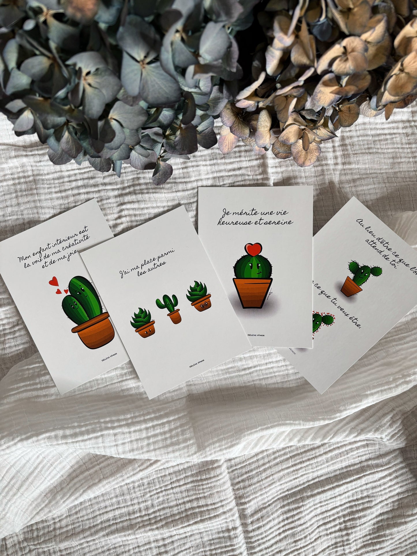 Les cactus - coffret de 7 cartes
