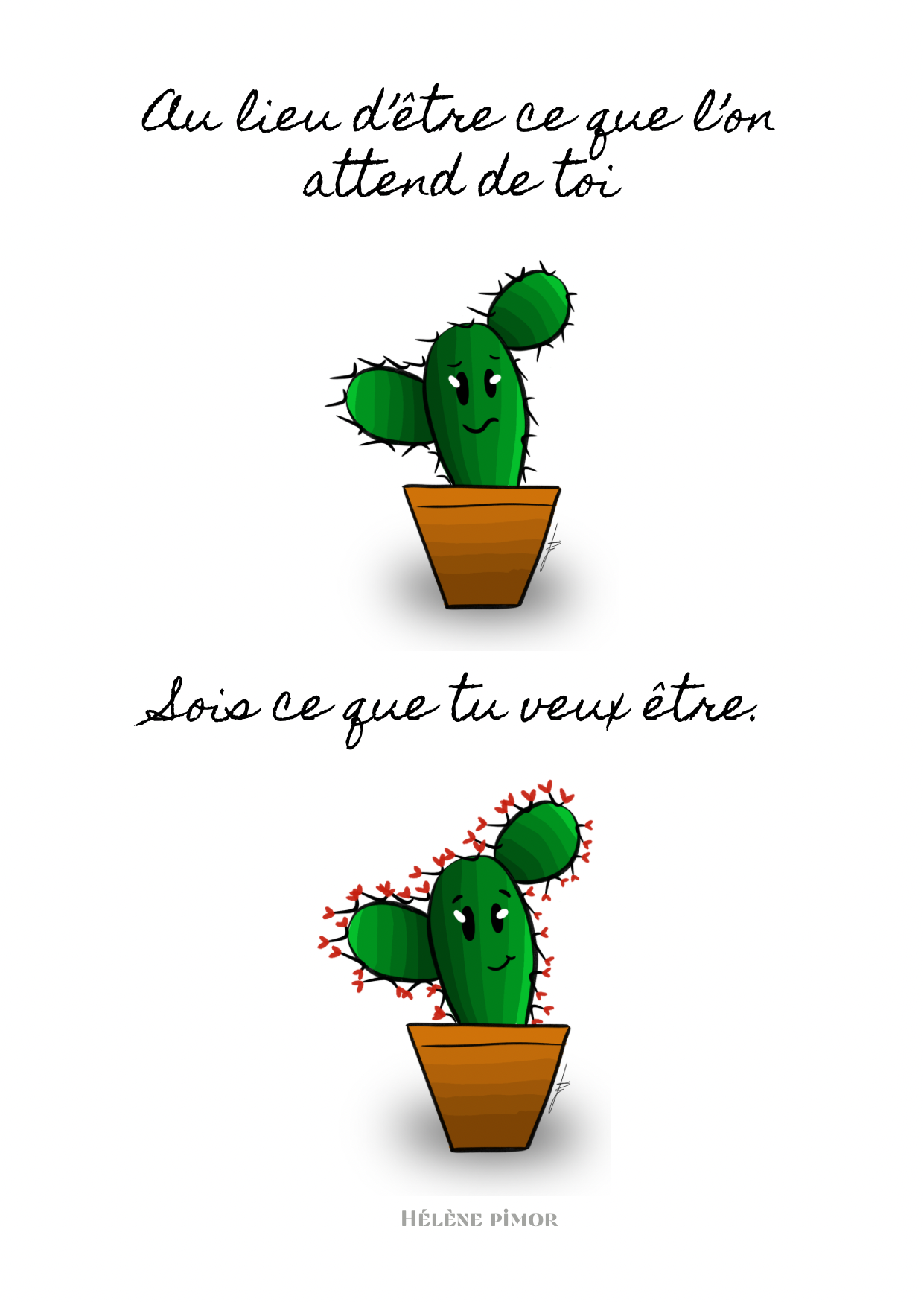 Les cactus - coffret de 7 cartes